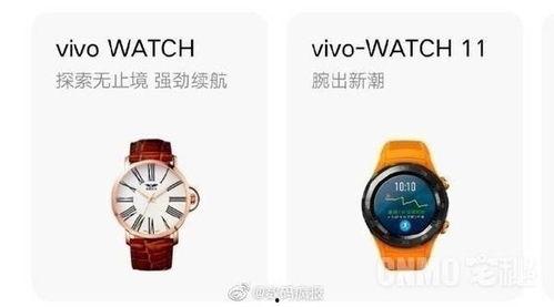 vivo手表最新爆料,颠覆传统,智能生活新篇章